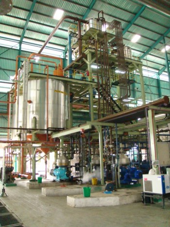 img_1314675128_490_lg