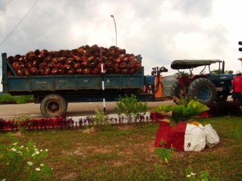 img_1314675164_41_lg