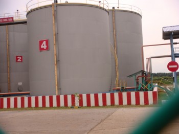 img_1314675196_361_lg